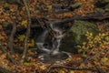 Nemecsky creek in Prucelska valley in autumn evening Royalty Free Stock Photo