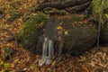 Nemecsky creek in Prucelska valley in autumn evening Royalty Free Stock Photo