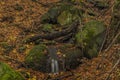 Nemecsky creek in Prucelska valley in autumn evening Royalty Free Stock Photo