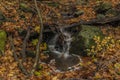 Nemecsky creek in Prucelska valley in autumn evening Royalty Free Stock Photo