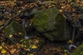 Nemecsky creek in Prucelska valley in autumn evening with color leafs Royalty Free Stock Photo