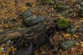 Nemecsky creek in Prucelska valley in autumn evening with color leafs Royalty Free Stock Photo