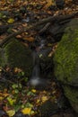 Nemecsky creek in Prucelska valley in autumn evening with color leafs Royalty Free Stock Photo