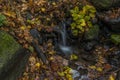 Nemecsky creek in Prucelska valley in autumn evening with color leafs Royalty Free Stock Photo