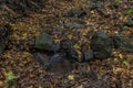 Nemecsky creek in Prucelska valley in autumn evening with color leafs Royalty Free Stock Photo