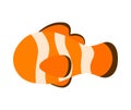 Nemo Clownfish Cartoon Coral Fish for Sea Animal Vector Illustration Royalty Free Stock Photo