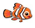 Nemo fish