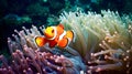 Nemo fish among coral reefs. Marine environment. AI generated