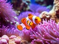 Ai Generated illustration Wildlife Concept of Nemo fish Royalty Free Stock Photo