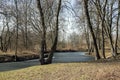 Nemosicka stran forest on the end of winter time, sunlight in branches, way throught amazing natural area, oxbow lake