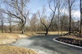 Nemosicka stran forest on the end of winter time, sunlight in branches, way throught amazing natural area, oxbow lake