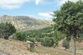 Nemrut Dagi. Mountains on the background of sky. Vertices covered with snow.