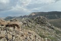 Nemrut Dagi. Mountains on the background of sky. Vertices covered with snow. Tourism