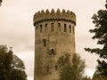 Nenagh Castle Ireland Royalty Free Stock Photo
