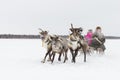 Nenets at national festival Royalty Free Stock Photo