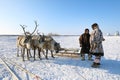 Nenets reindeer herders in winter near a sled in northern Siberia