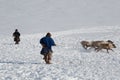 Nenets reindeer mans catches reindeers