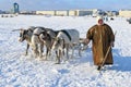 Nenets woman leads reindeer sleigh