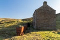 Nenthead Mines, Alston, Cumbria, UK, 27th February 2022