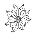 Nenuphar, Hand drawn vector illustration, floral line drawing, line art, vector