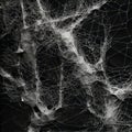 Neo-plasticism Inspired Interactive Artwork: Tangled Nests On Black Background Royalty Free Stock Photo