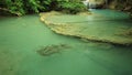 Neolissochilus stracheyi fish in Level 1 of Erawan Waterfall