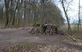 A Neolithic hut, a wooden building of ethnically backward nations, or a survival lodge. logs assembled in the shape of a yurt, ear