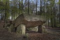 Neolithic passage grave, Megalithic stones in Lower Saxony, Germany