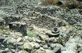 Neolithic ruins, Khirokitia, Cyprus Royalty Free Stock Photo