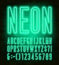 Neon alphabet font. Condensed neon light letters and numbers on brick wall background.