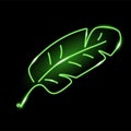 Neon banana leaf isolated on black background. Exotic, summer, tropical, nature concept for logo, banner, web design Royalty Free Stock Photo