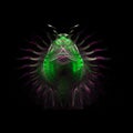 Neon Beetle