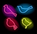 Neon bird icons. Colored glowing silhouettes