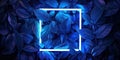 Neon Blue Illumination Leaves In A Dark Square Frame
