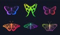 Neon butterflies. Mystical butterfly gradient color design, colorful moth abstract insects fly beauty monarch magic Royalty Free Stock Photo