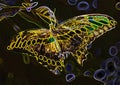 Neon Butterfly Creative Art Graphic