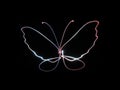 Neon butterfly