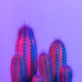 Neon cactus. Cactus lover. Cactus fashion idea