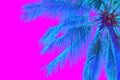 Neon colored palm tree on pink background