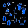 Neon-colored set of animal footprints. Footprints of fox, dog, bear, squirrel, crow and deer. Hand-drawn collection. Vector Royalty Free Stock Photo