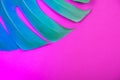 Neon colored Tropical plant green monstera leaf on acid plastic pink background. Royalty Free Stock Photo