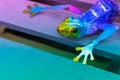 Neon colored vibrant metallic garden decoration frog with copy space