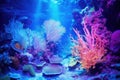 Neon-coloured Coral Glow Under A Uv Light Underwater