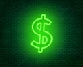 Neon dollar sign on a dark background. Wealth, Success concept.