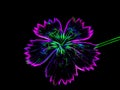 Neon flower image on a black background