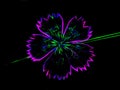 Neon flower image on a black background