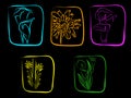 Neon flowers