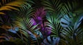 Neon frame template among tropical jungle foliage. 3D render. Royalty Free Stock Photo