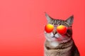 neon funny portrait cute cat pet colourful animal fashion sunglasses. Generative AI.