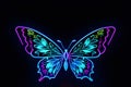 Neon glowing outlined illustration of colorful butterfly Royalty Free Stock Photo
